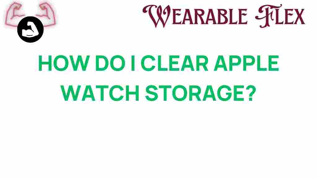 clear-apple-watch-storage
