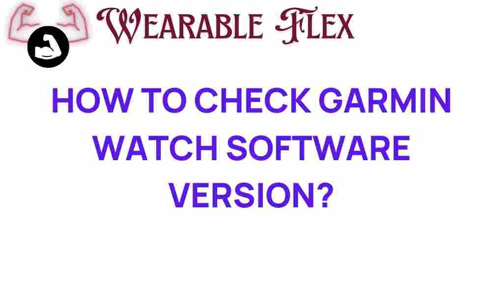 check-garmin-software-version