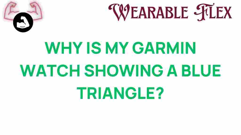 garmin-watch-blue-triangle